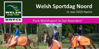 Welsh Sportdag Noord 2019