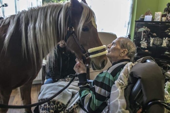 Wildzang's Larissa op bezoek bij de 92-jarige heer Muntz in het verzorgingstehuis.