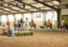 Dutch Pony Championship Werkendam 2022