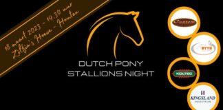 Dutch Pony Stallions Night