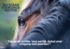 Petitie 'Een eerlijk debat over omgang met paarden'