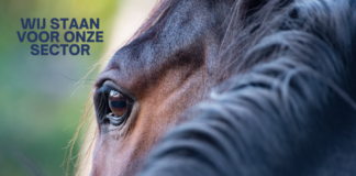 Petitie 'Een eerlijk debat over omgang met paarden'