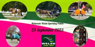 Nationale Welsh Sportdag 2023